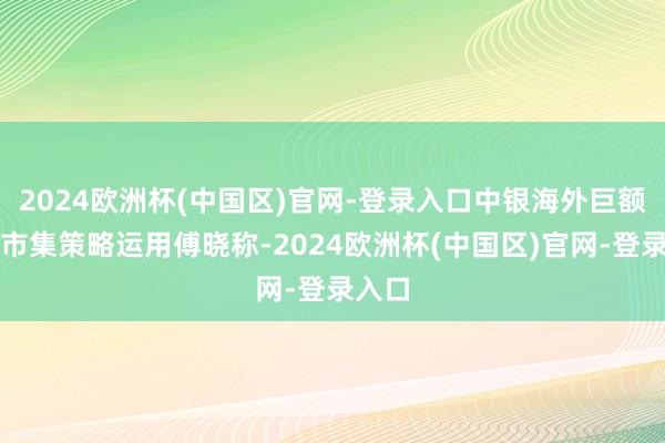 2024欧洲杯(中国区)官网-登录入口中银海外巨额商品市集策略运用傅晓称-2024欧洲杯(中国区)官网-登录入口