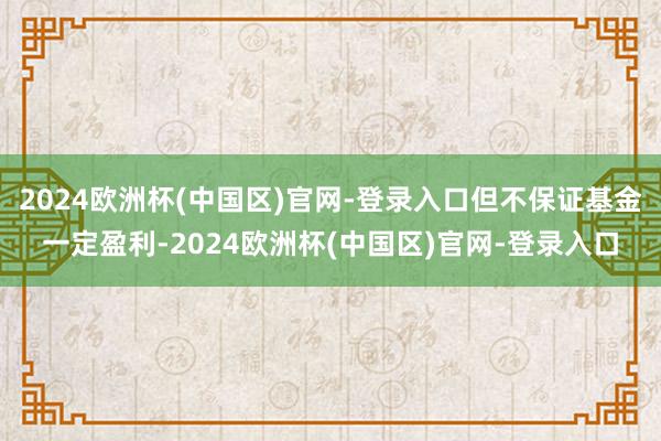 2024欧洲杯(中国区)官网-登录入口但不保证基金一定盈利-2024欧洲杯(中国区)官网-登录入口