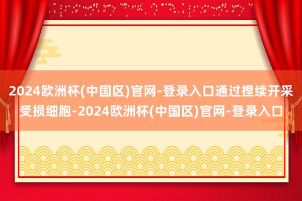 2024欧洲杯(中国区)官网-登录入口通过捏续开采受损细胞-2024欧洲杯(中国区)官网-登录入口